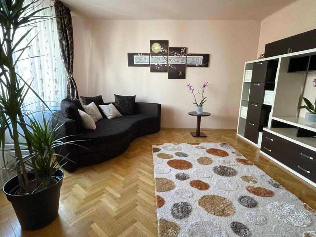Winterland Sf.Ioan Apartman Brassó Kültér fotó