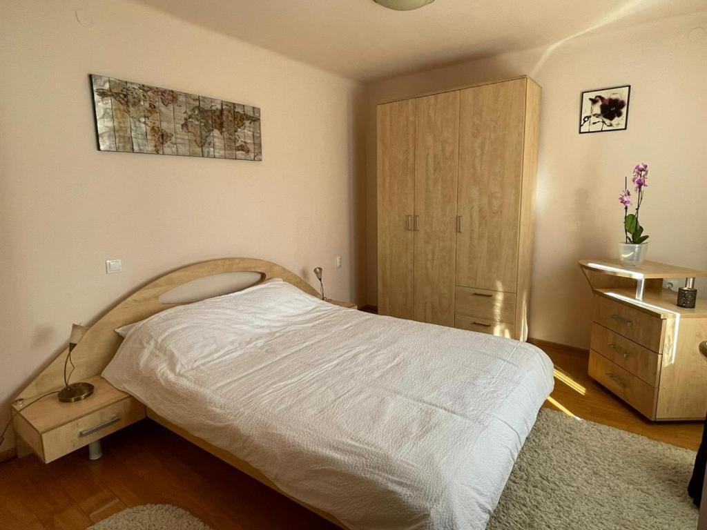 Winterland Sf.Ioan Apartman Brassó Kültér fotó
