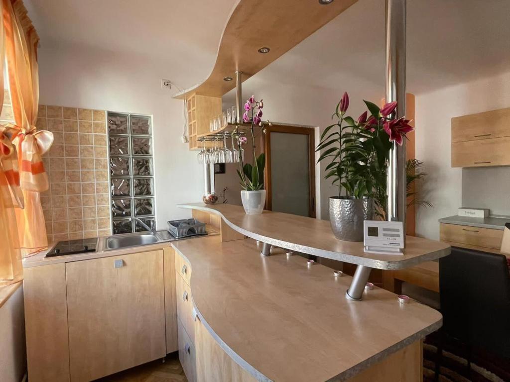 Winterland Sf.Ioan Apartman Brassó Kültér fotó